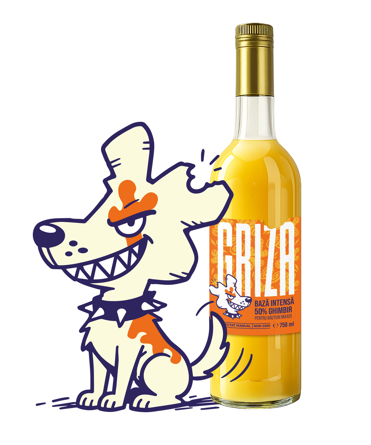 Sirop de ghimbir Griza 750 ml cu 50% ghimbir, alături de mascota Ginger Head