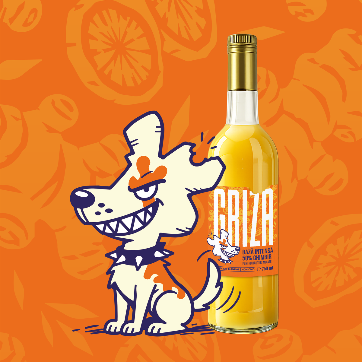 Sirop de ghimbir Griza 750 ml cu 50% ghimbir, alături de mascota Ginger Head